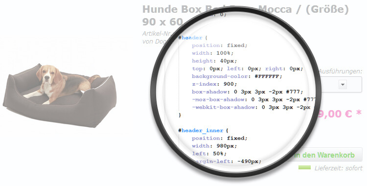 CSS-Editor